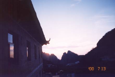 鸨
